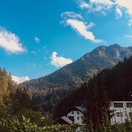 Apartment Tisa Solčava Екстериор снимка