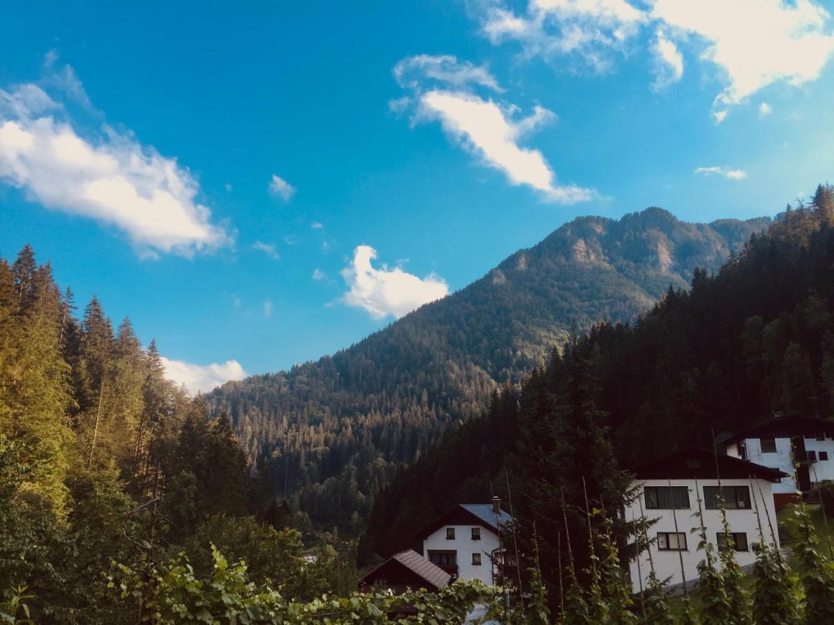 Apartment Tisa Solčava Екстериор снимка